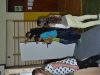 gradnja_hise112